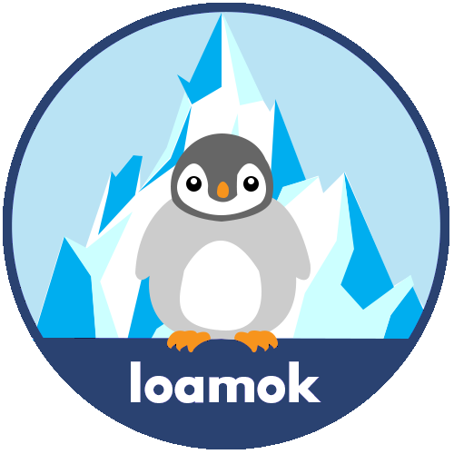 Loamok agence web sur Niort